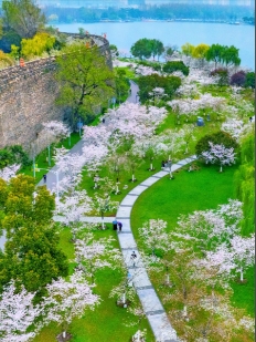 1758263256882885.png 江蘇南京昆蟲公園景區(qū)票務(wù)管理系統(tǒng) 8 大功能.png